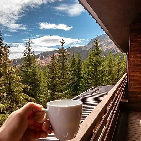 Hotel And Relax Moreni Vitosha